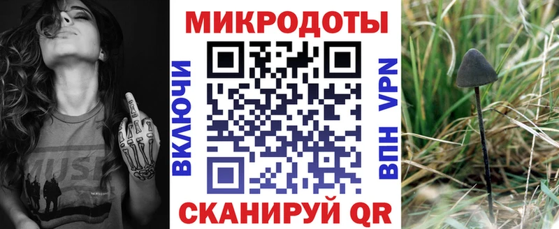 Псилоцибиновые грибы прущие грибы  Чайковский 